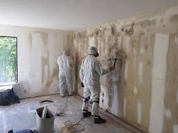 Best Residential Mold Inspection & Testing  in Lemoore Station, CA